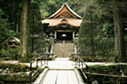 駒ヶ根市／光善寺写真