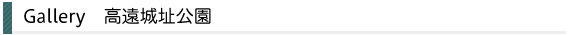 高遠城址公園／ギャラリー／赤穂タクシー